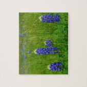 Texas Bluebonnets Legpuzzel (Verticaal)