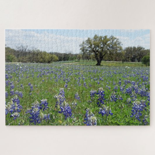 Texas Bluebonnets Legpuzzel (Horizontaal)