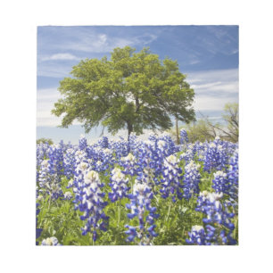 Texas bluebonnets (lupinus texensis) en eik notitieblok