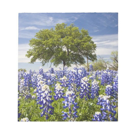 Texas bluebonnets (lupinus texensis) en eik notitieblok (Voorkant)