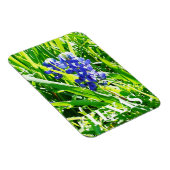 Texas Bluebonnets Magnet Magneet (Rechterzijde)