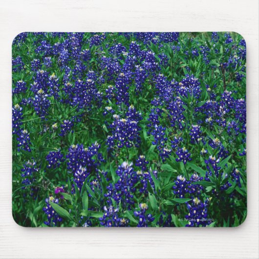 Texas Bluebonnets Muismat (Voorkant)