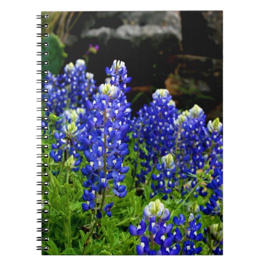 Texas Bluebonnets Note Book Notitieboek (Voorkant)
