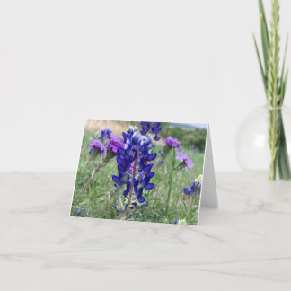 Texas Bluebonnets Notecard Bedankkaart