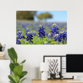 Texas Bluebonnets Poster (Thuiskantoor)