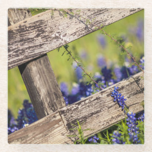 Texas Bluebonnets rond een landhek Glazen Onderzetter