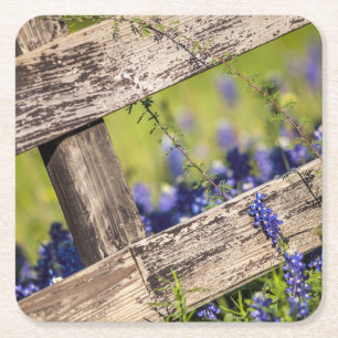 Texas Bluebonnets rond een landhek Vierkante Kartonnen Onderzetter