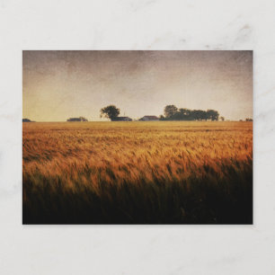 Texas Boerderij briefkaart