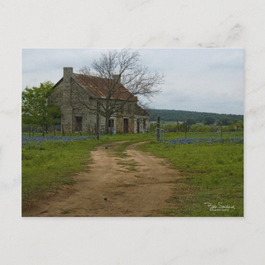 Texas boerderij-huis met blauwbonnetjes briefkaart (Voorkant)