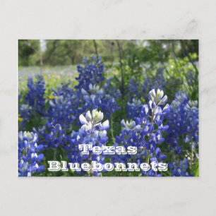 Texas briefkaarten! briefkaart