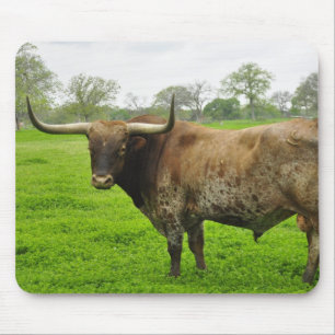 Texas Burnt Sinaasappel Longhorn Steer Muismat