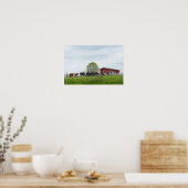 Texas Cattle and Old Red Barn Poster (Keuken)