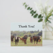 Texas Cattle Briefkaart (Staand voorkant)