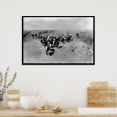 Texas Cattle Drive Poster (Keuken)