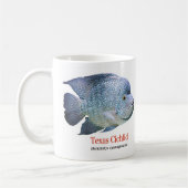 Texas Cichlid Koffiemok (Links)