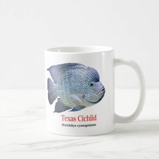 Texas Cichlid Koffiemok (Rechts)