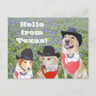 Texas Dogs in Bluebonnets Briefkaart