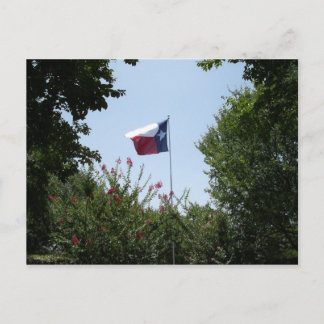 Texas Flag Briefkaart