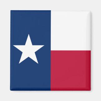 Texas Flag Magneet
