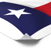 Texas Flag Poster Print (Hoek)