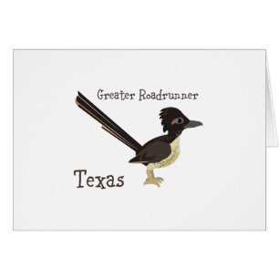 Texas Greater Roadrunner