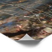 Texas Hill Country nummer drie Poster (Hoek)