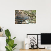 Texas Hill Country nummer drie Poster (Thuiskantoor)