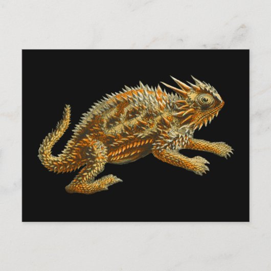 Texas Horned Lizard Briefkaart (Voorkant)