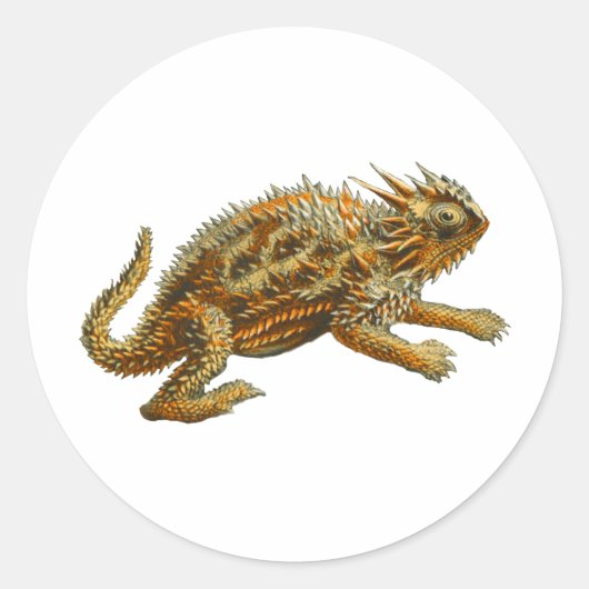Texas Horned Lizard Ronde Sticker (Voorkant)