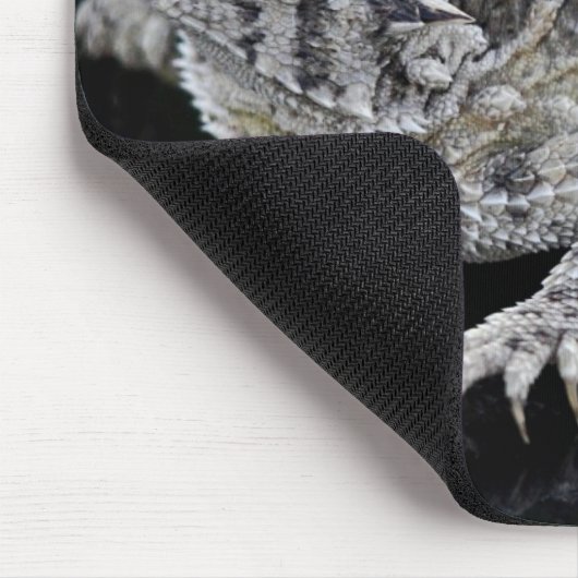 Texas Horned Lizard - Texas State Reptile Muismat (Hoek)