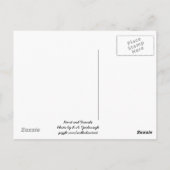 Texas Horses Briefkaart (Achterkant)