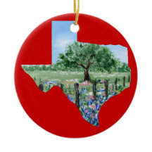 Texas Kerstversiering