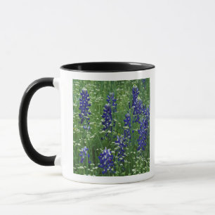 Texas, Lake Buchanan. Texas Bluebonnet en Wild Mok