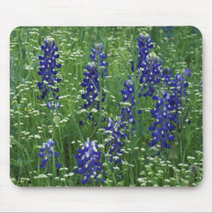 Texas, Lake Buchanan. Texas Bluebonnet en Wild Muismat