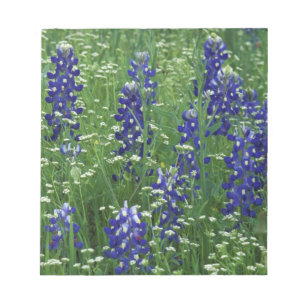 Texas, Lake Buchanan. Texas Bluebonnet en Wild Notitieblok