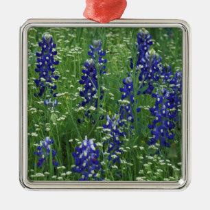 Texas, Lake Buchanan. Texas Bluebonnet en Wilde Metalen Ornament