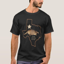 Texas Lone Star State Armadillo Memorabilia