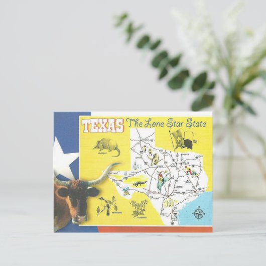 Texas Lone Star State Briefkaart (Staand voorkant)