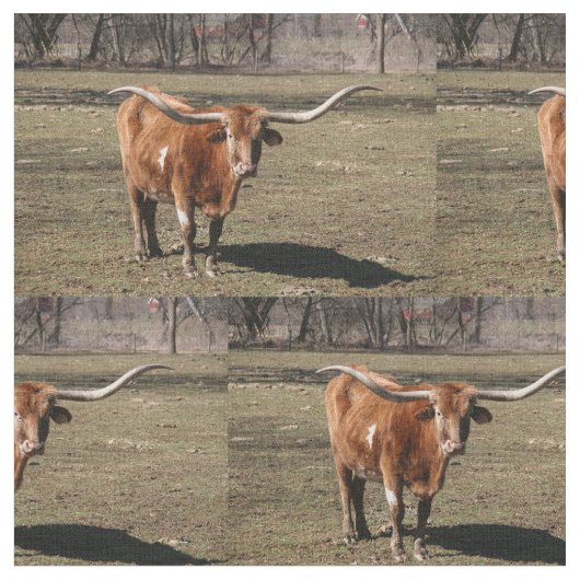 Texas Long Horns! Stof (Close Up)