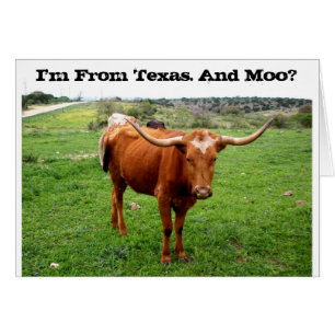 Texas Longhorn Avec Drôle Texas Dit