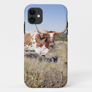 Texas Longhorn Breed (foto) iPhone 11 Hoesje