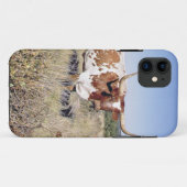 Texas Longhorn Breed (foto) Case-Mate iPhone Case (Achterkant (horizontaal))