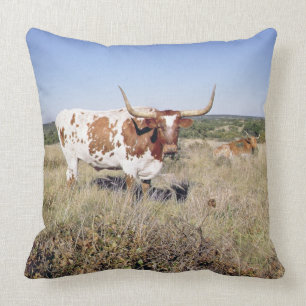 Texas Longhorn Breed (foto) Kussen