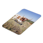 Texas Longhorn Breed (foto) Magneet (Linkerzijde)