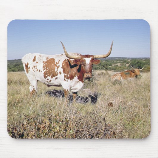 Texas Longhorn Breed (foto) Muismat (Voorkant)