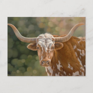Texas Longhorn Briefkaart