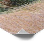 Texas Longhorn Bull Western Art Poster animal (Coin)