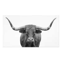 Texas Longhorn Bull Zwart Wit