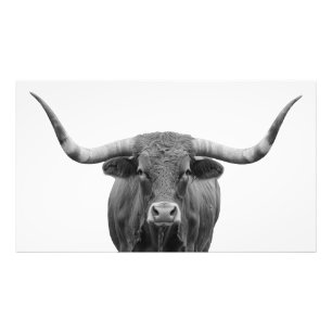 Texas Longhorn Bull Zwart Wit Foto Afdruk