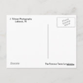 Texas Longhorn Cattle Briefkaart (Achterkant)